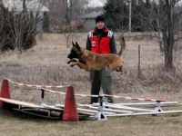 lot_longjump
