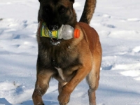 lot_retrieve