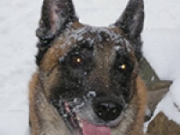 lothar_portrait