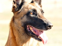 lex_20121021-01