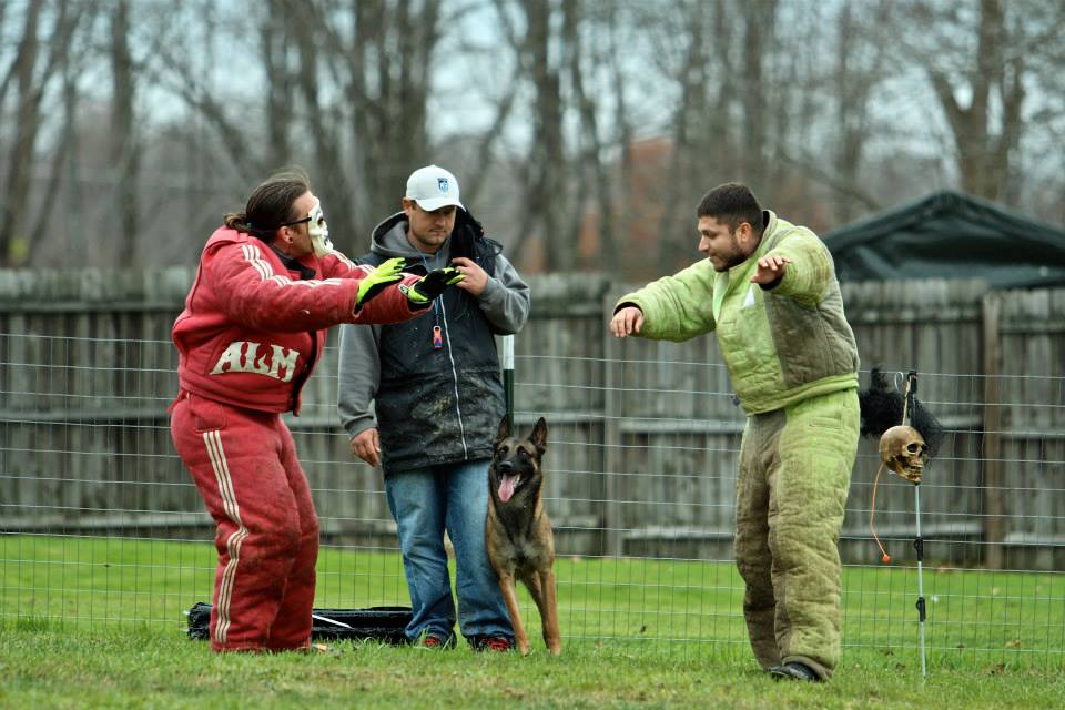 Idole and David Defense of Handler  with Otto Sturm and Carlos Daniel Aguirre
