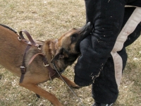 anzo20110221-02