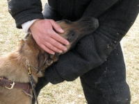 anzo20110221-03