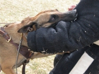 anzo20110221-04