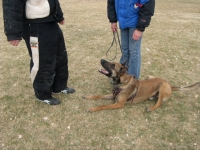 anzo20110221-05