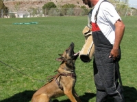anzo20110418-03