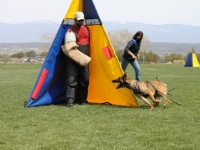 anzo20110418-04