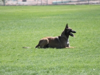 anzo20110501-02