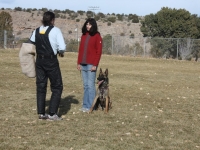 anzo20121208