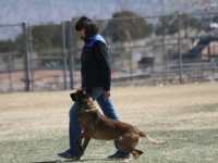 anzo20140323