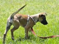 140615-bswd-00078