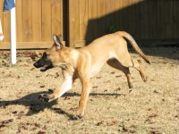 baccirunning_22dec09