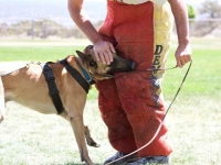beto20120510-02