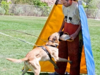 beto20120510-03
