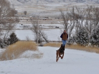 cappylori_012812