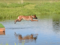 capy06132014-4