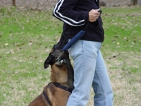 Feist butt guard