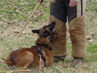 Feist down guard 5