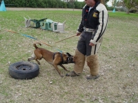 Feist object guard 10