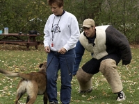 Jackson - Defense of Handler
