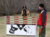 lot_hurdle2