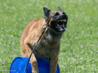 HabbitGuard