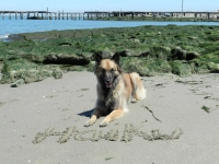 haiku-beach
