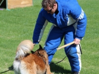 havok20130513-01