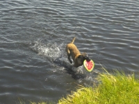 idole_060212