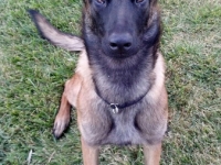 idole_20120210