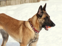 Jane 12 months