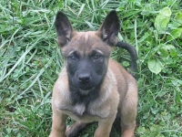 karma20120920