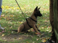 karma20121016