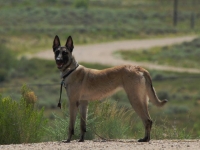 katniss1yr