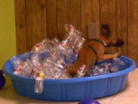 katnissbottles-1
