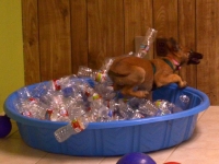 katnissbottles-2