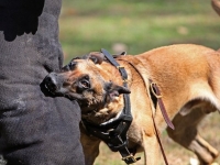 yuma20101126