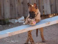 layla20130409-02