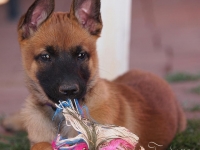 layla20130409-03