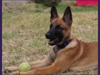 layla20130507-01