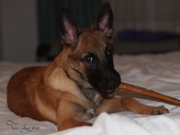 layla20130520-01