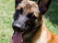 layla20130608-01