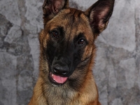 layla20130615-01