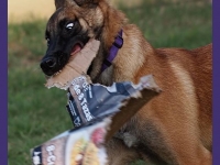 layla20130623-01