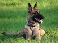 layla20130911-01