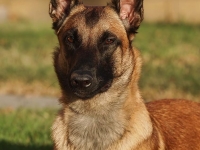 layla20131109-01