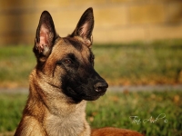 layla20131109-02