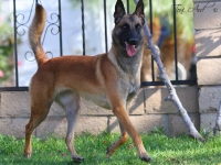 layla20140219-01