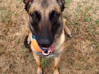 layla20140313-01