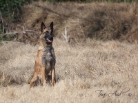 layla20140317-01